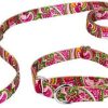 New * Best Sale Country Brook Design Paisley Polyester Martingale Dog Collar & Leash