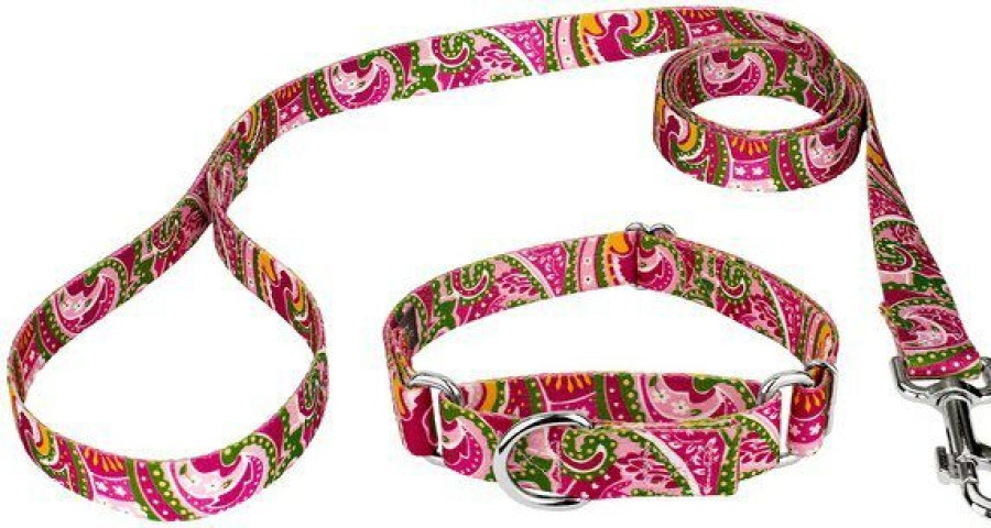 New * Best Sale Country Brook Design Paisley Polyester Martingale Dog Collar & Leash