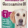 New * Low Price Naturvet Maintenance Care Glucosamine Ds Liquid Joint Supplement For Cats & Dogs