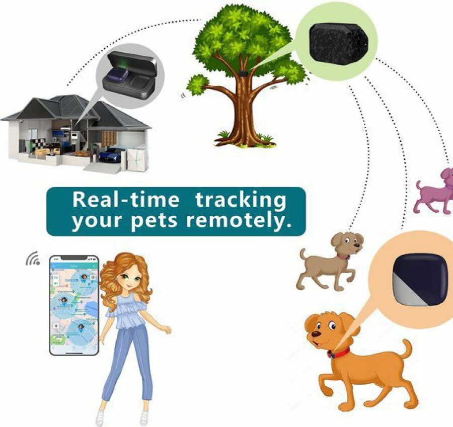 Clearance * Excellent Petfon Home Kit Pet Gps Tracker Ii, Blue & Gray