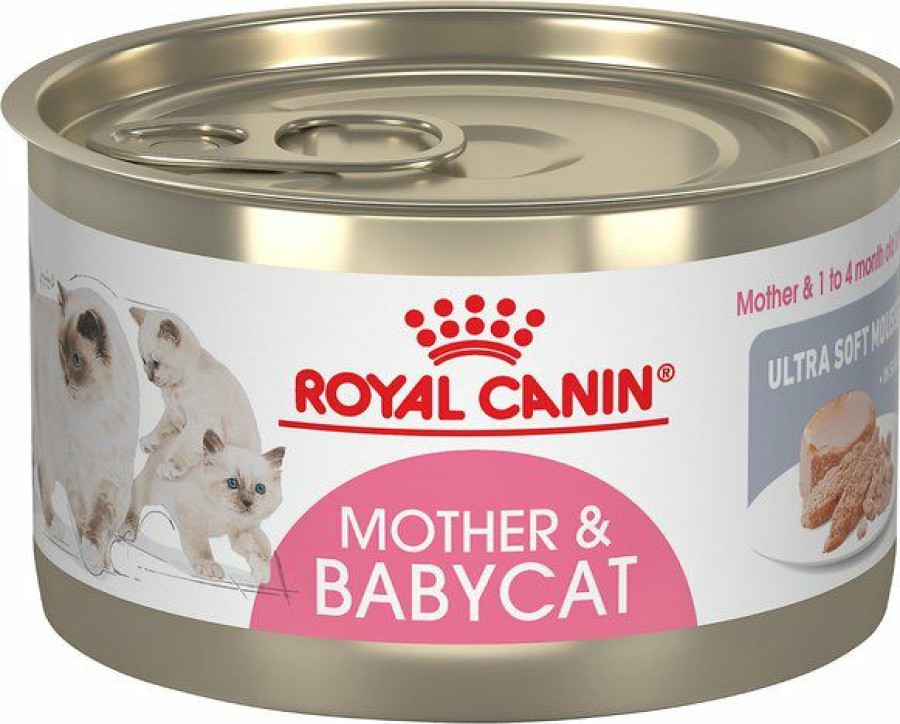 Hot * Large Choice Royal Canin Mother & Babycat Ultra-Soft Mousse In Sauce Wet Cat Food For New Kittens & Nursing Or Pregnant Mother Cats