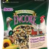 Clearance * Browns Low Price Brown'S Encore Poultry Treat