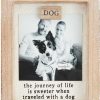 Clearance * Hot Sale Mud Pie "Dog" Magnet Picture Frame