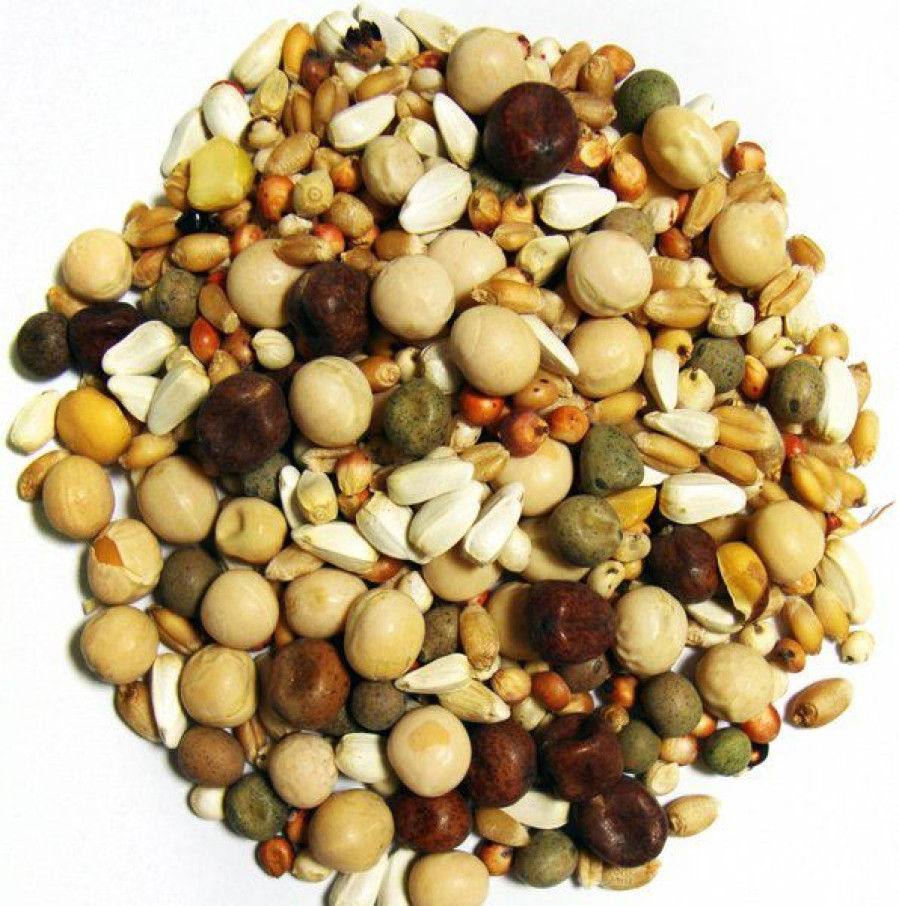 Hot * Browns Online Brown'S Developer Kafir Seeds & Grains Dove & Pigeon Bird Food, 50-Lb Bag