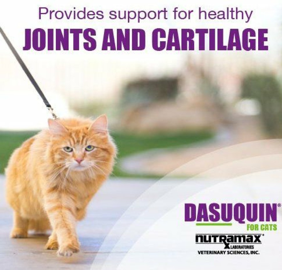 New * Hot Sale Nutramax Dasuquin Capsules Joint Supplement For Cats