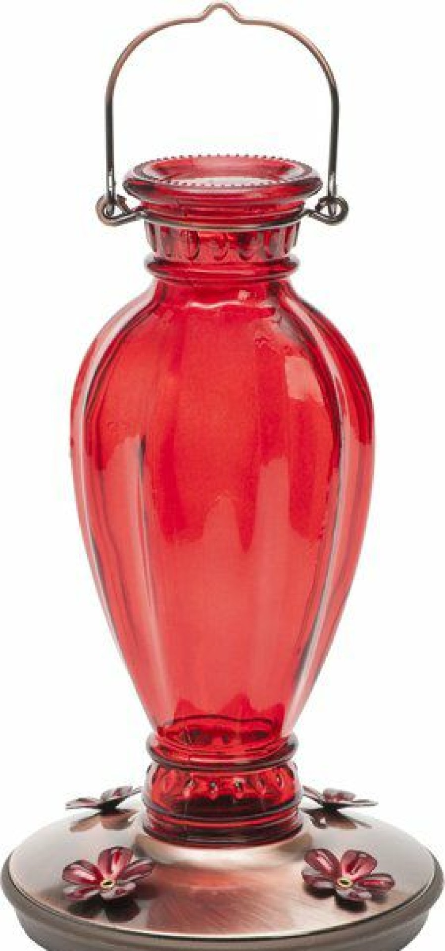 Best * Best Quality Perky-Pet Daisy Vase Vintage Glass Hummingbird Feeder, Red