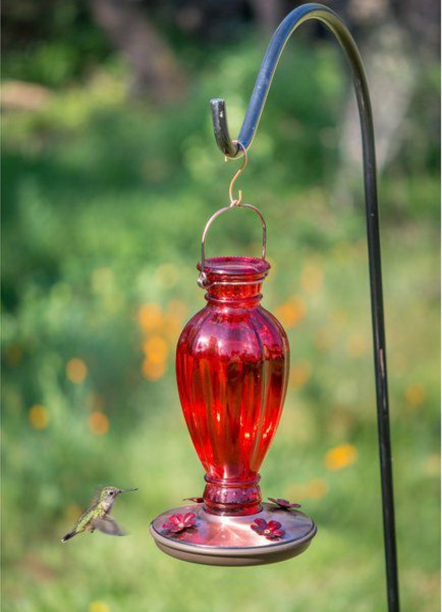 Best * Best Quality Perky-Pet Daisy Vase Vintage Glass Hummingbird Feeder, Red