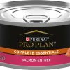 Hot * Hot Sale Purina Pro Plan Adult Salmon Entree In Sauce Canned Cat Food, 5.5-Oz, Case Of 24