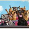 New * Limited Edition Stupell Industries Dogs Riding Roller Coaster Funny Amusement Park Dog Wall Decor, Wood