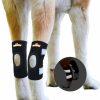 Hot * Popular Neoally Back Hock Dog Brace