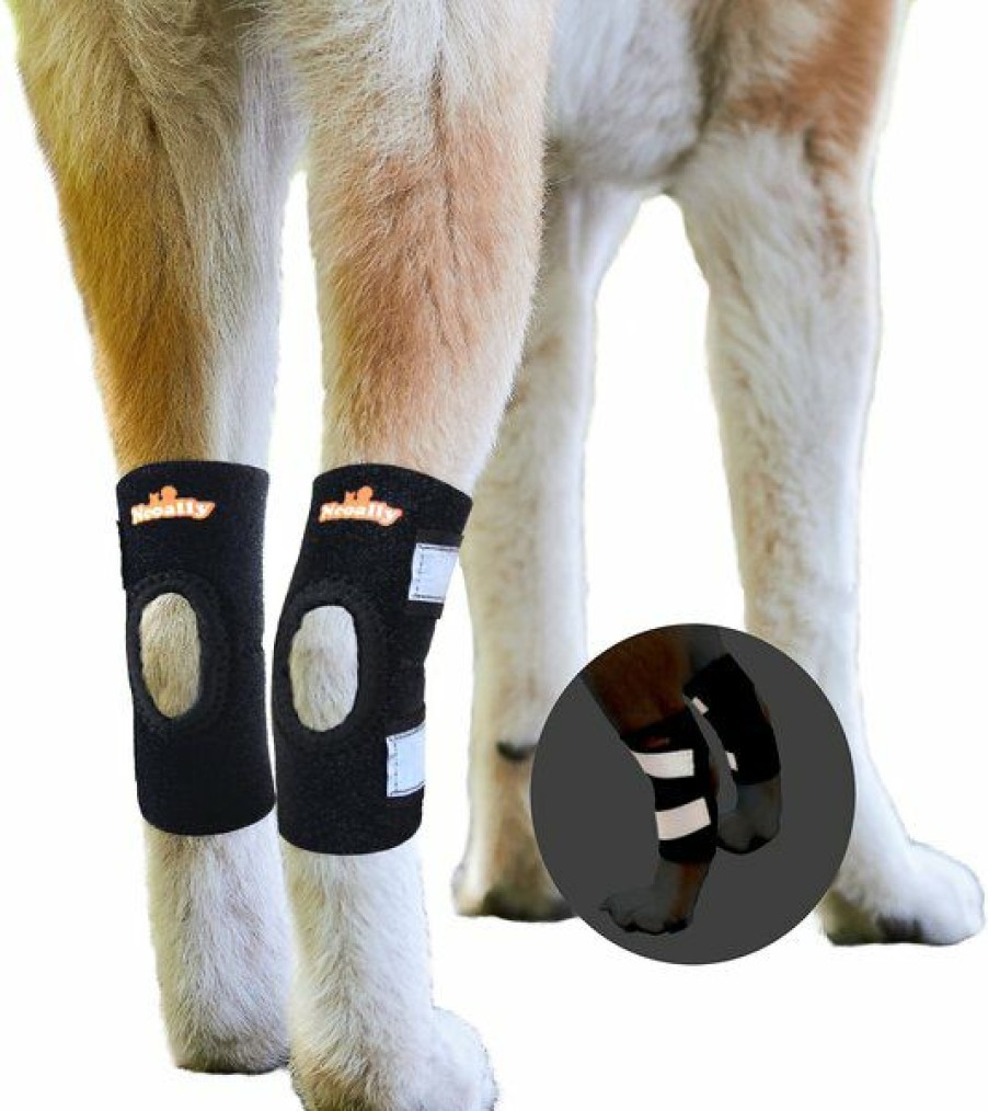 Hot * Popular Neoally Back Hock Dog Brace