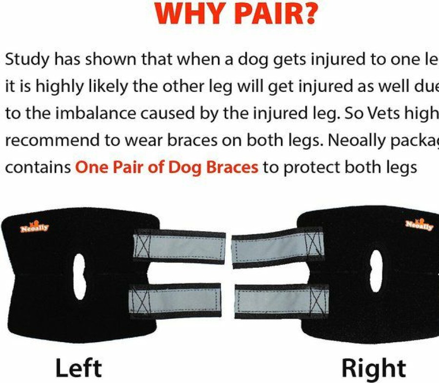 Hot * Popular Neoally Back Hock Dog Brace