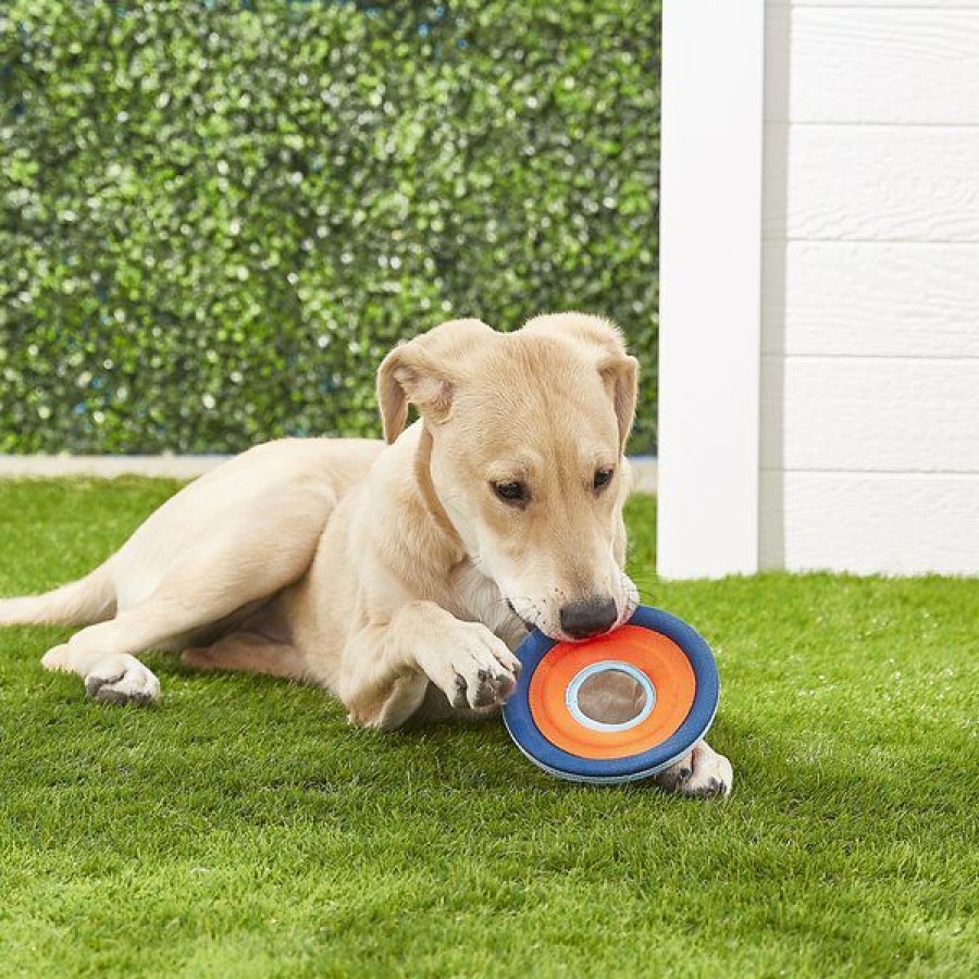 New * Good Quality Chuckit! Zipflight Disc Dog Toy, Color Varies