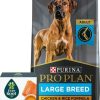 Wholesale * Limited Edition Bundle: Everroot By Purina Hip & Joint + Salmon Oil Liquid Dog Supplement, 0.5-Oz, Case Of 14 + Purina Pro Plan Adult Large Breed Chicken & Rice Formula Dry Dog Food, 34-Lb Bag