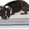 Clearance * Best Sale K&H Pet Products Memory Sleeper Pillow Dog Bed