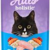 Wholesale * Hot Sale Halo Holistic Seafood Medley Sensitive Stomach Dry Cat Food