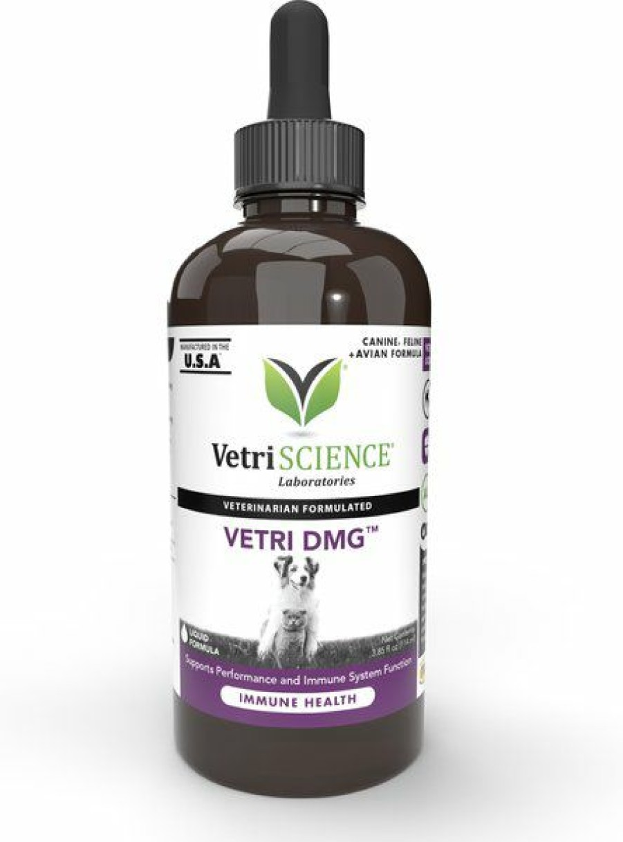 Best * Wholesale Vetriscience Vetri-Dmg Liquid Immune Supplement For Dogs, Cats & Birds