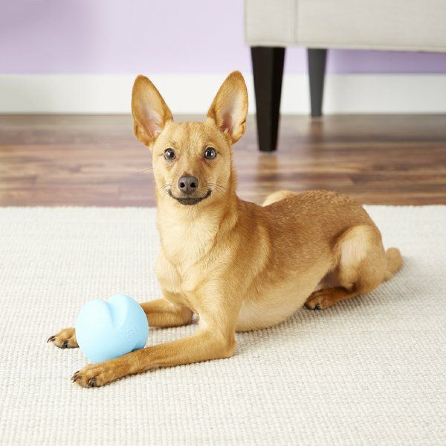 Best * Top Selling West Paw Zogoflex Jive Tough Ball Dog Toy