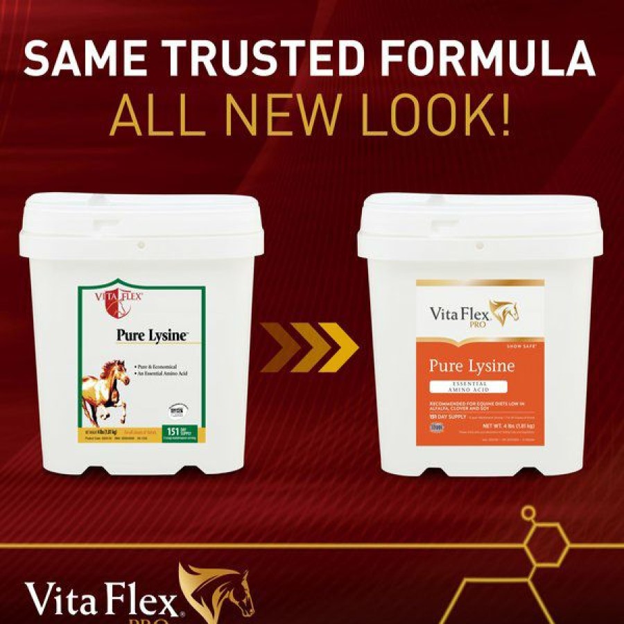 Best * Reliable Quality Vita Flex Pure Lysine Amino Acid Powder Horse Supplement 151 Day Supply, 4-Lb Bucket