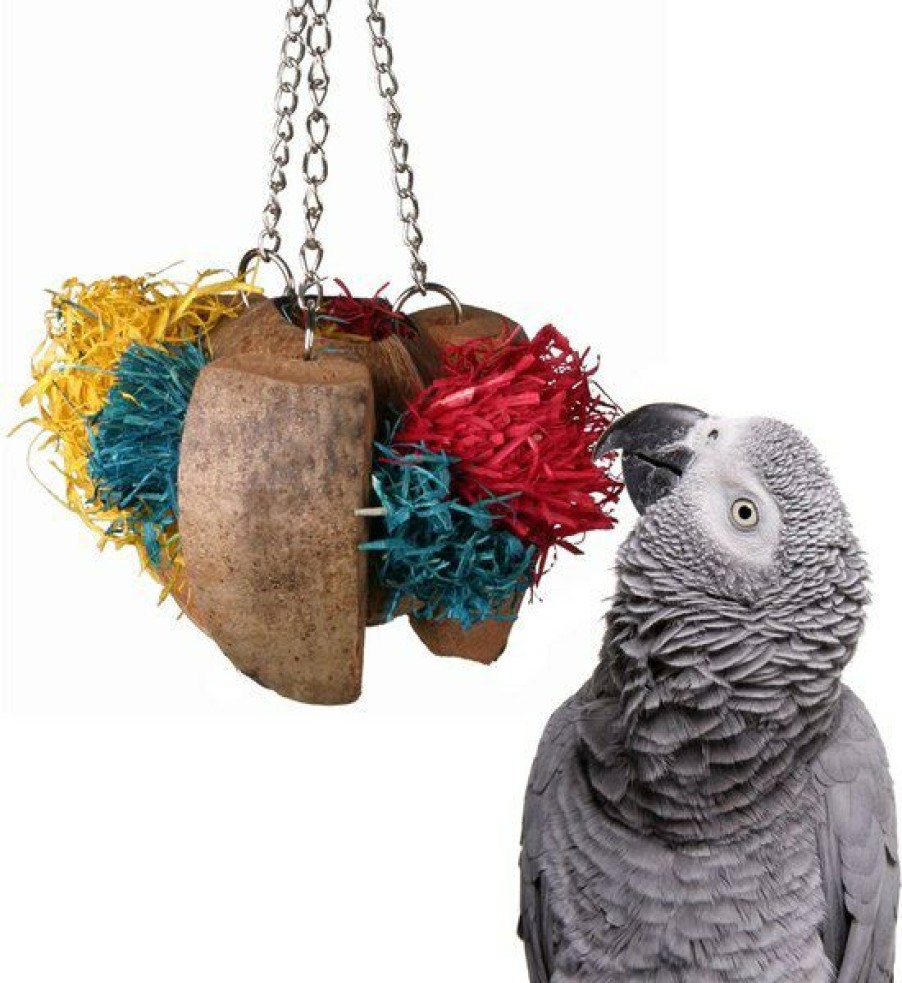 New * Discount Store Super Bird Creations Coco Cornhusk Forager Bird Toy, Large