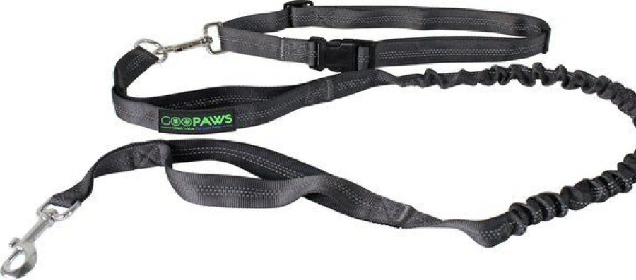 Wholesale * Hot Sale Jespet Bungee Reflective Standard Dog Leash