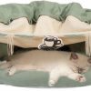 New * Wholesale Coziwow By Jaxpety Collapsible Cat Tunnel Bed, Green