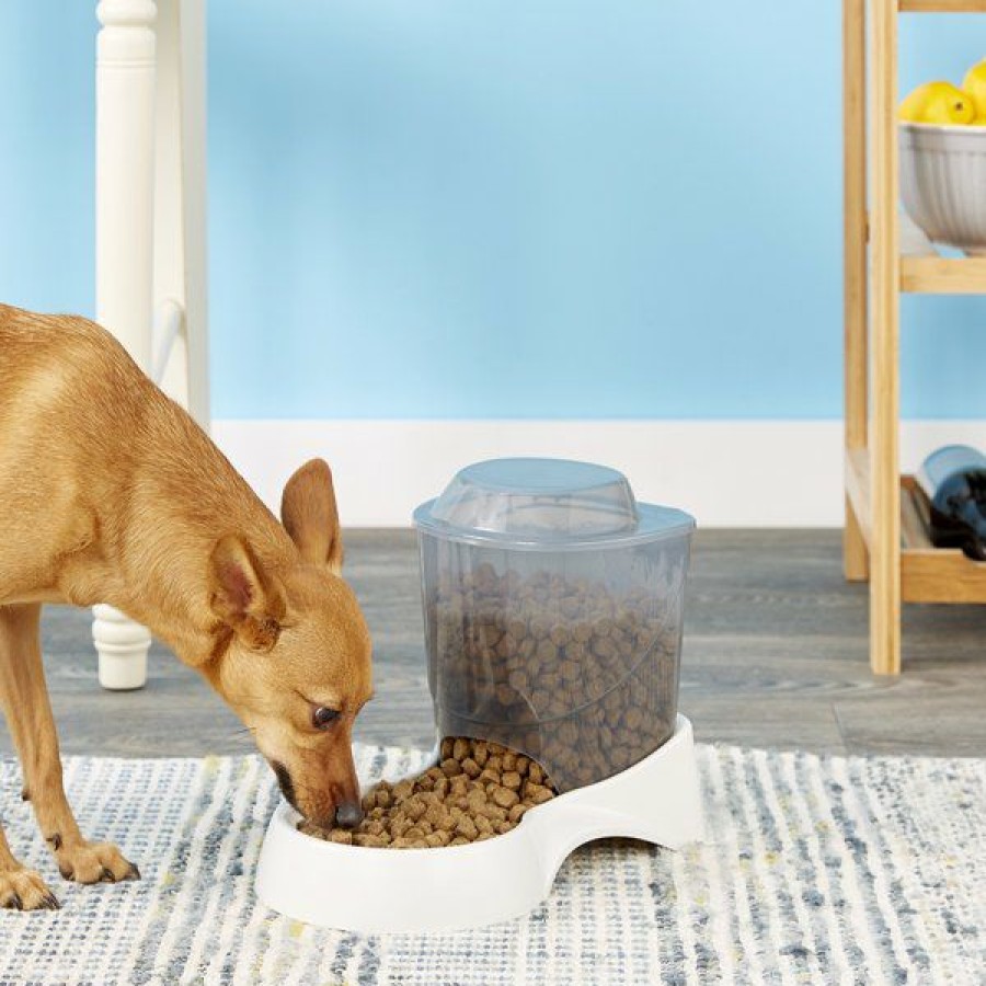 Best * Discount Store Van Ness Automatic Dog & Cat Feeder