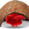 Best * Best Quality Sungrow Betta Fish Hideout Cave, Decoration For Aquarium & Gecko Tank