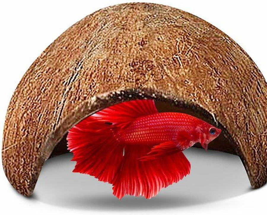 Best * Best Quality Sungrow Betta Fish Hideout Cave, Decoration For Aquarium & Gecko Tank