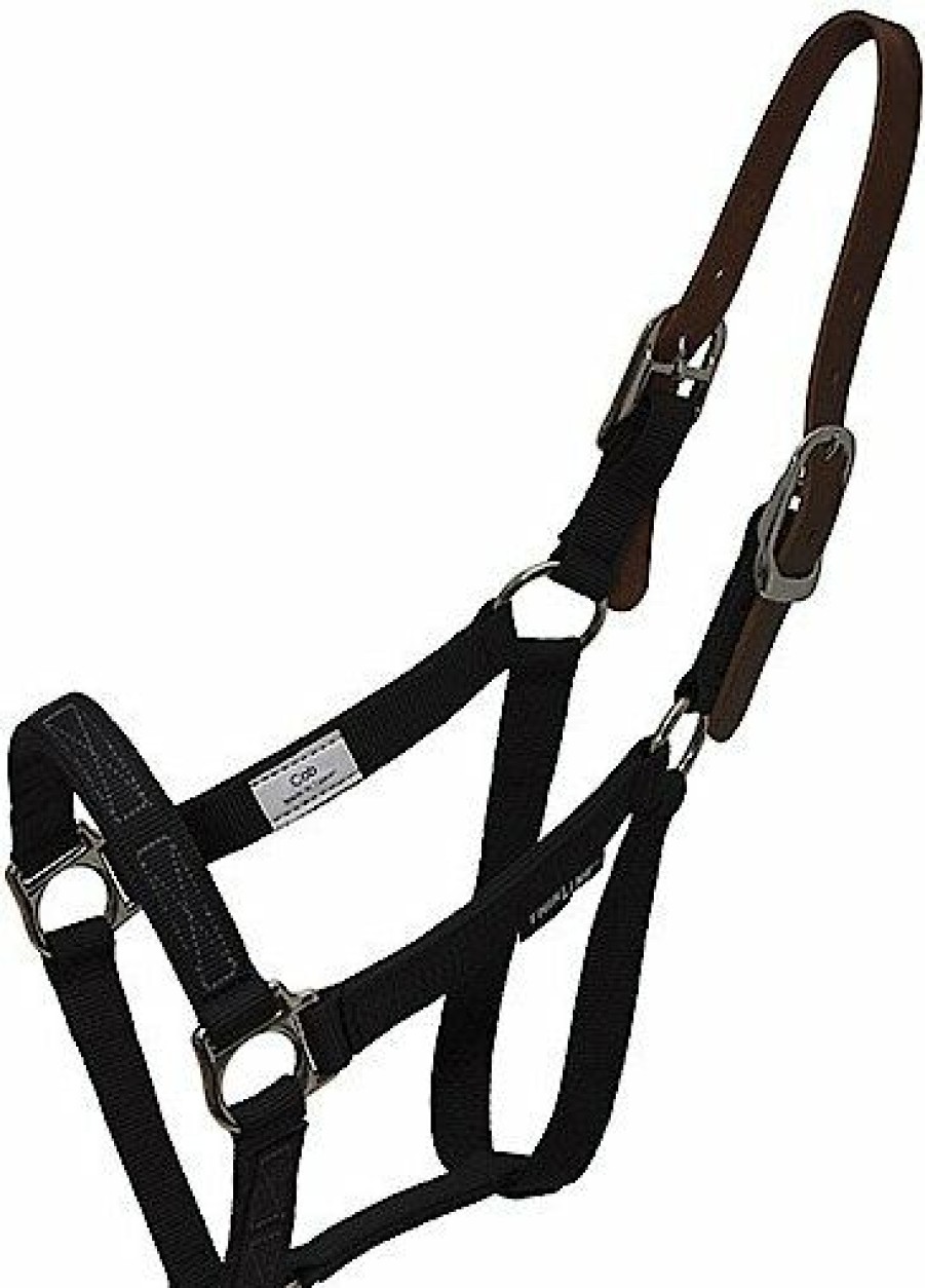 Best * Discount Flexible Filly Turnout Horse Halter