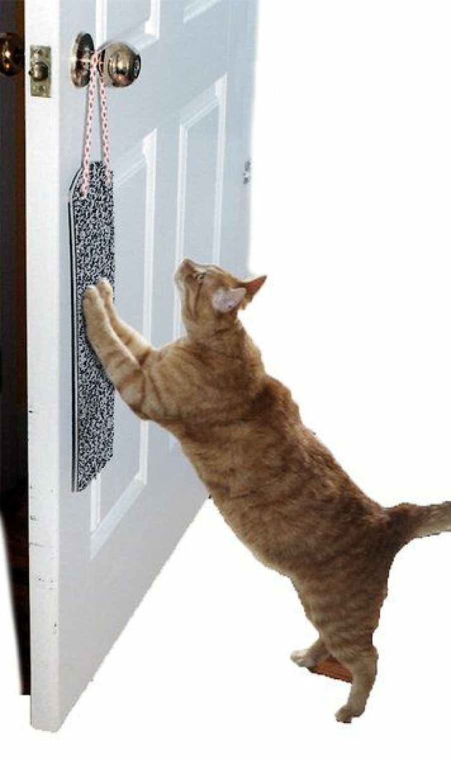 Clearance * Discount Store Omega Paw Door Hanging Cat Scratchy Pad