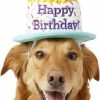 New * Cheaper Frisco Birthday Cake Dog & Cat Hat