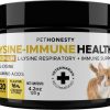 Online * Low Price Pethonesty Lysine Immune Health+ Tuna & Chicken Flavored Powder Immune Supplement For Cats, 4.2-Oz Bottle