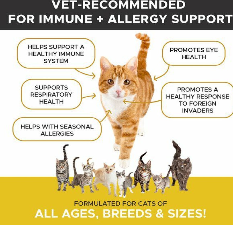 Online * Low Price Pethonesty Lysine Immune Health+ Tuna & Chicken Flavored Powder Immune Supplement For Cats, 4.2-Oz Bottle