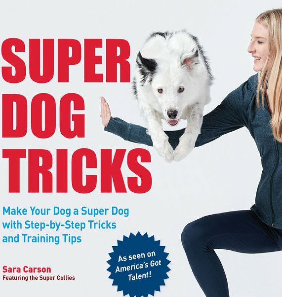 New * Quarto Publishing Reliable Quality Super Dog Tricks