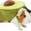 Best * Hot Sale Frisco Avocado Guinea Pig Costume, One Size