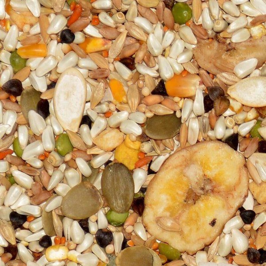 Wholesale * Discount Store Volkman Avian Science Hookbill Food