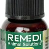 Best * Excellent Remedi Animal Solutions Dog-7 Homeopathic Medicine For Joint Pain/Arthritis For Dogs, 1-Oz Bottle