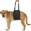 Online * Online Labra Dog Support Sling