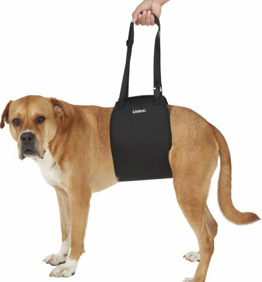 Online * Online Labra Dog Support Sling