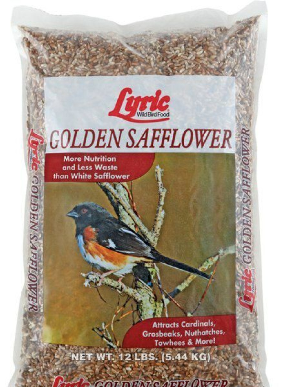 Wholesale * Low Price Lyric Golden Safflower Seed Wild Bird Food