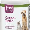 Wholesale * Online Petalive Gumz-N-Teeth Gum & Teeth Health Dog & Cat Supplement, 60 Count