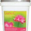 Wholesale * Reliable Quality Equilite Herbals Garli+C Immune Support Powder Horse Supplement, 2-Lb Tub