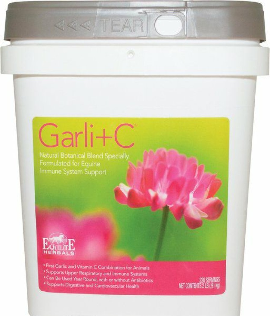 Wholesale * Reliable Quality Equilite Herbals Garli+C Immune Support Powder Horse Supplement, 2-Lb Tub