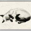 Online * Low Price Stupell Industries Siamese Cat Nap Minimal Relaxed Cat Wall Decor