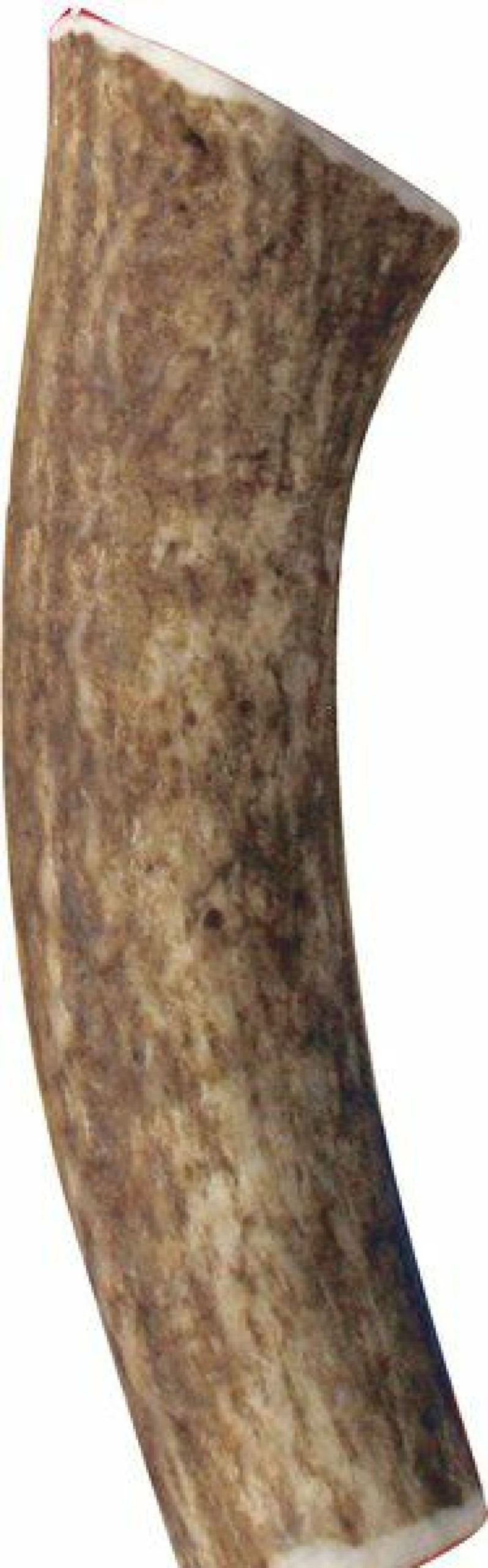 Online * Top Selling Kong Wild Whole Elk Antler Dog Chew, Medium