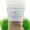 Best * Discount Store Rose & Branch Organic Wheat Cat Grass Seeds, 16-Oz Pouch