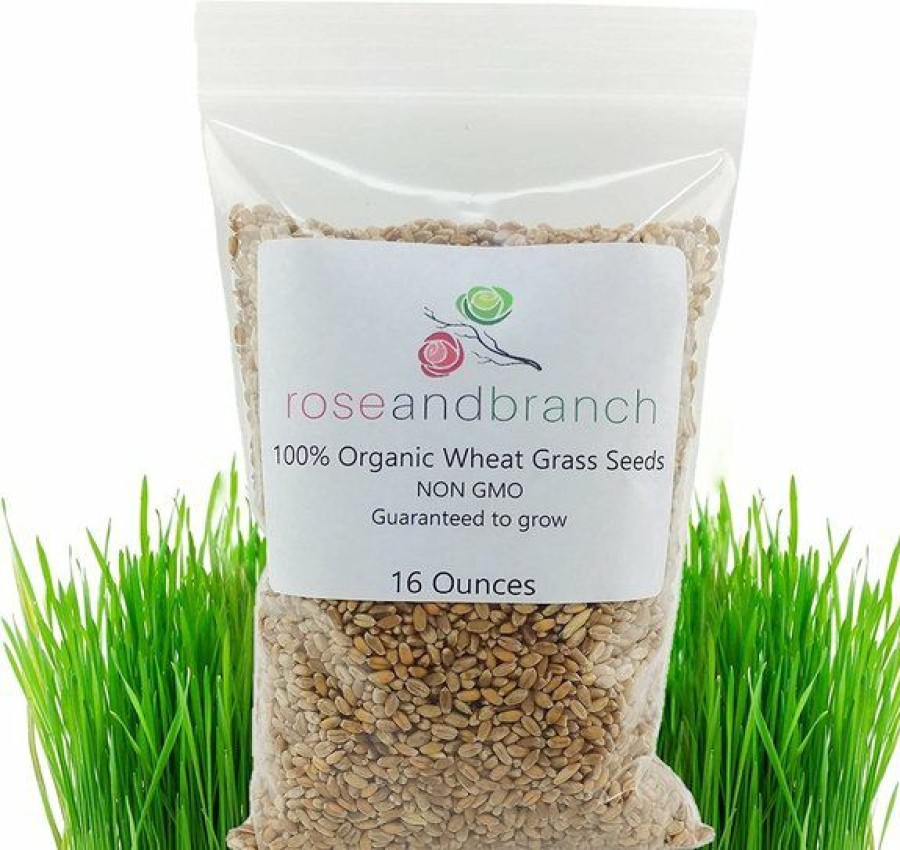 Best * Discount Store Rose & Branch Organic Wheat Cat Grass Seeds, 16-Oz Pouch