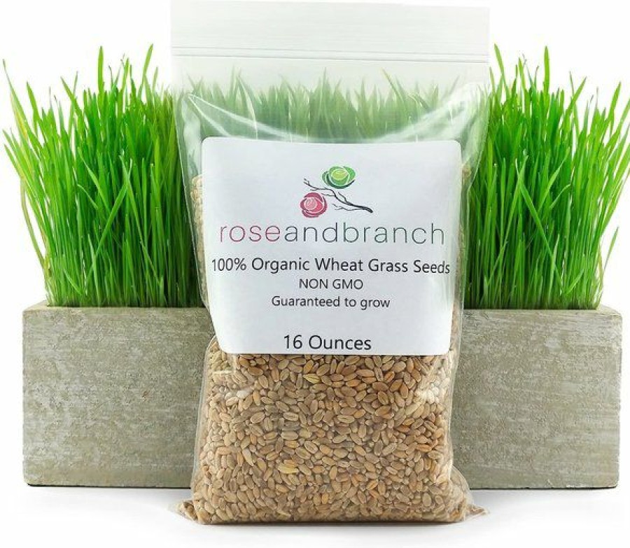 Best * Discount Store Rose & Branch Organic Wheat Cat Grass Seeds, 16-Oz Pouch