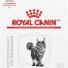 Best * Best Quality Royal Canin Veterinary Diet Adult Renal Support Early Consult Dry Cat Food